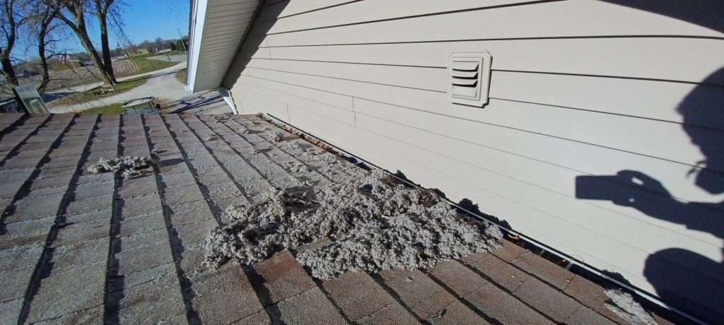 Dryer Vent Lint Removed From A Home, Shown On The Roof In Iowa.