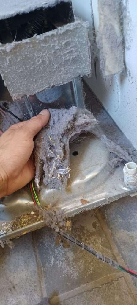 Hand Removing Lint Removal From The Dryer.